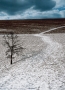 Petr Holitscher - Zimní kontrasty