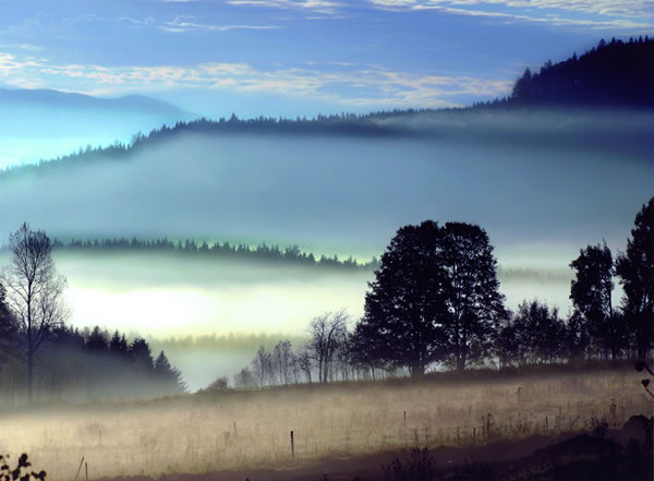 Šumavská mlha