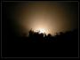 Night live