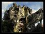 Hang Nga -Dalat -Vietnam (crazy house)