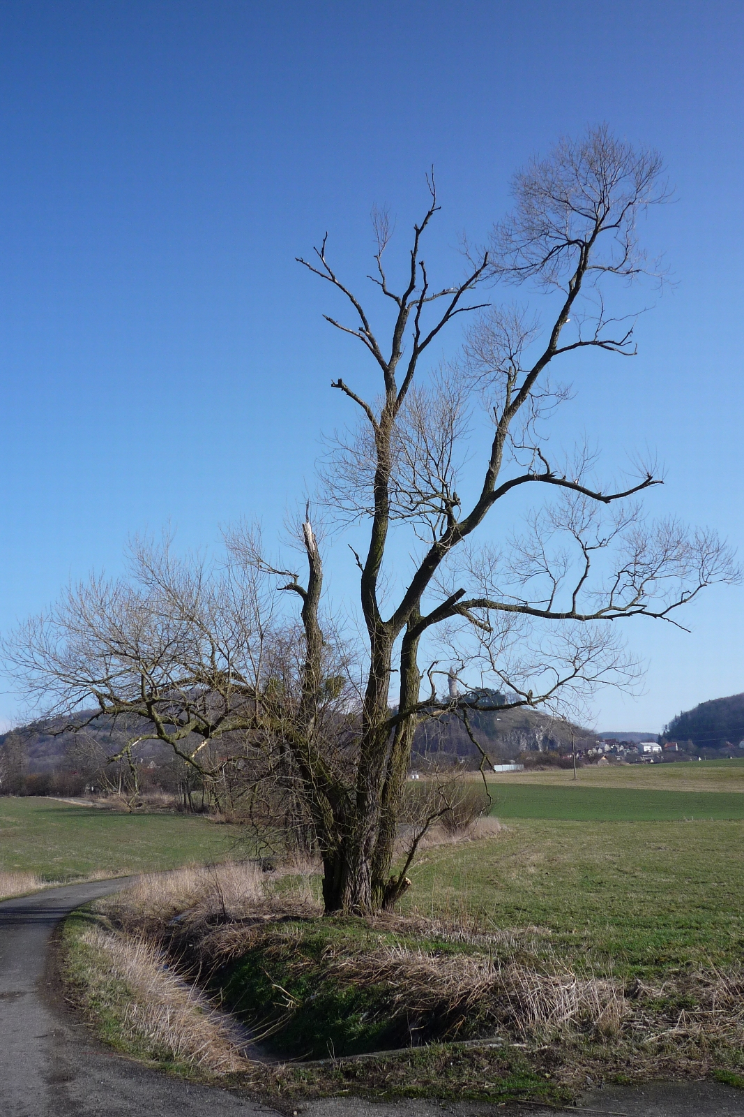 Strom "Veterán"