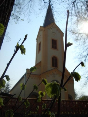 Architektura a památky - Grow over church