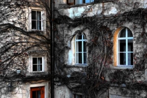 Architektura a památky - Porostlá okna
