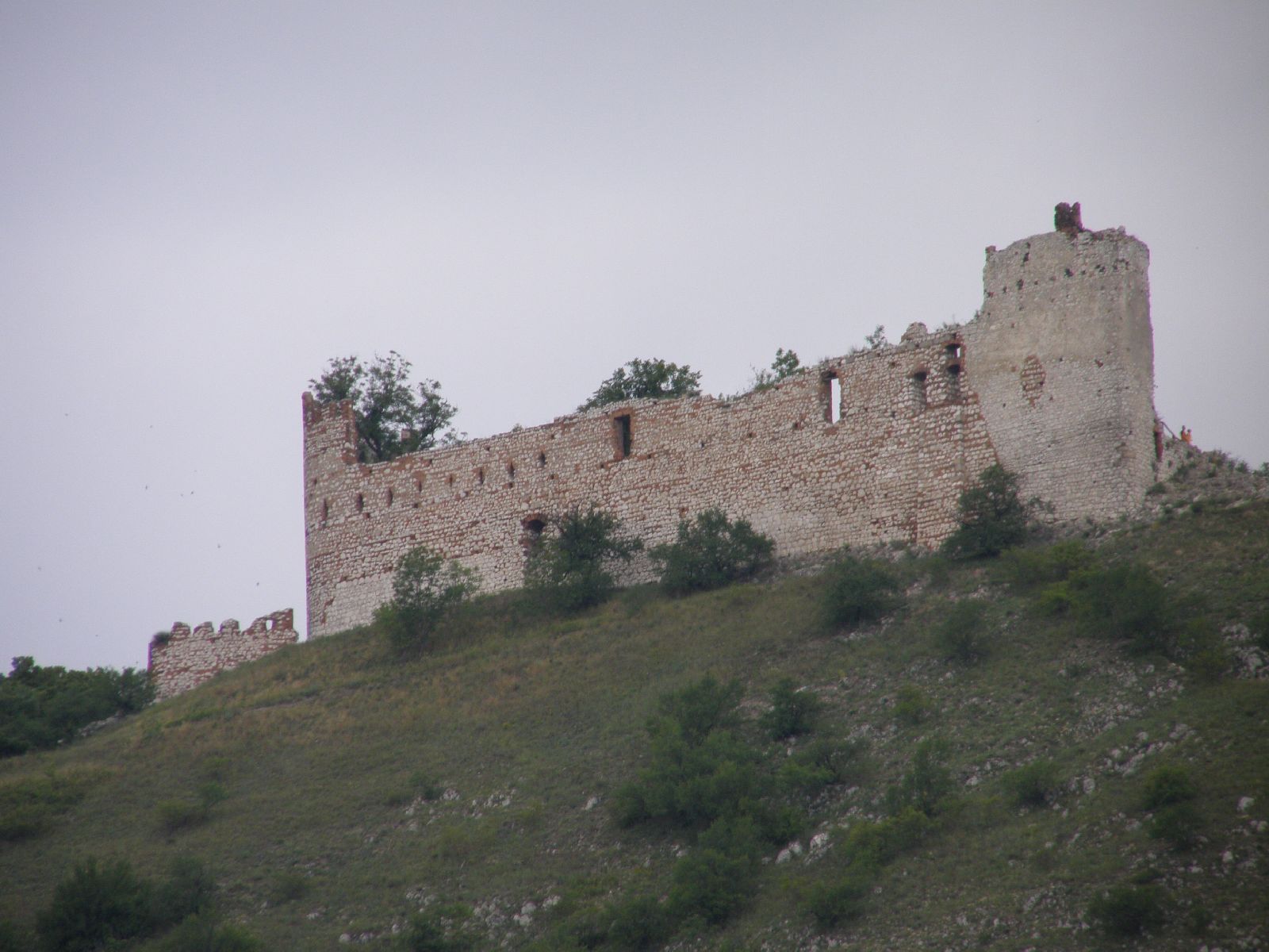 Trosky hradu nad Pavlovem