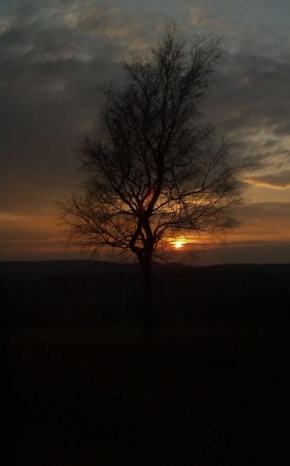 Fotograf roku v přírodě 2009 - Zapad slunce na Volakove kopci