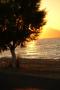 Petra Itterheimová - Kos