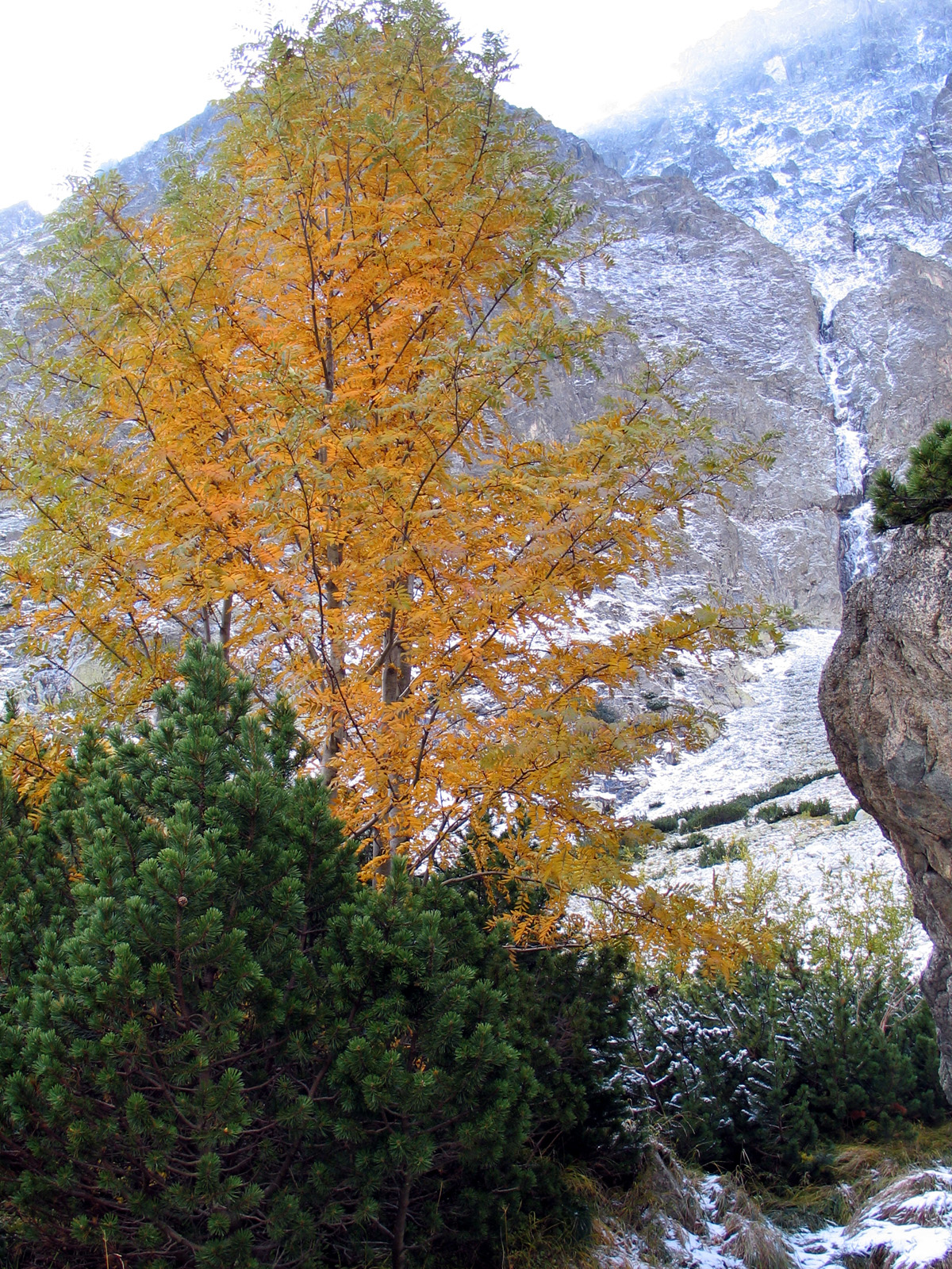 Jesen v Tatrach