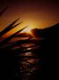 Sun goes down