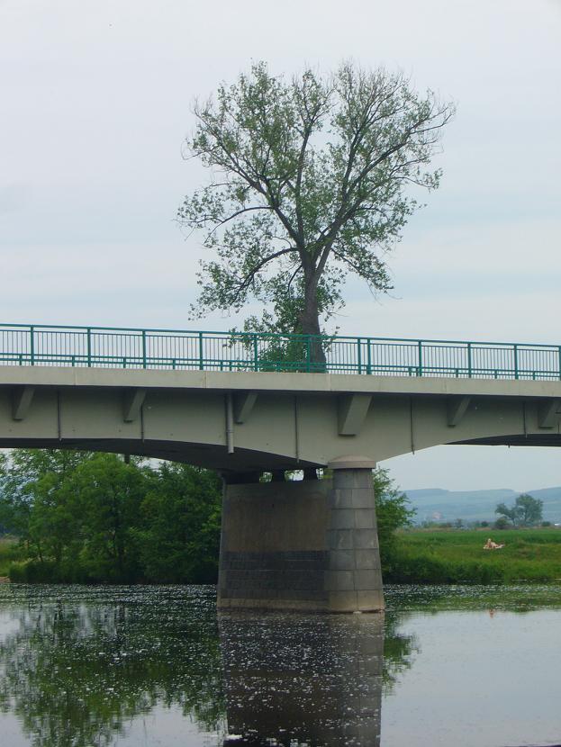 Bohušovický most