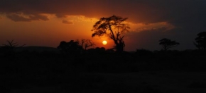 Markéta Zlá - Při západu slunce nad Amboseli