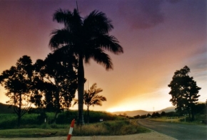 Večer a noc ve fotografii - Dopravni kolík před  palmou