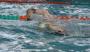 Swimmer on the move