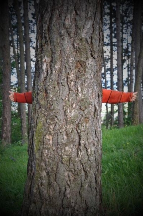 Stromy - Ruky stromu