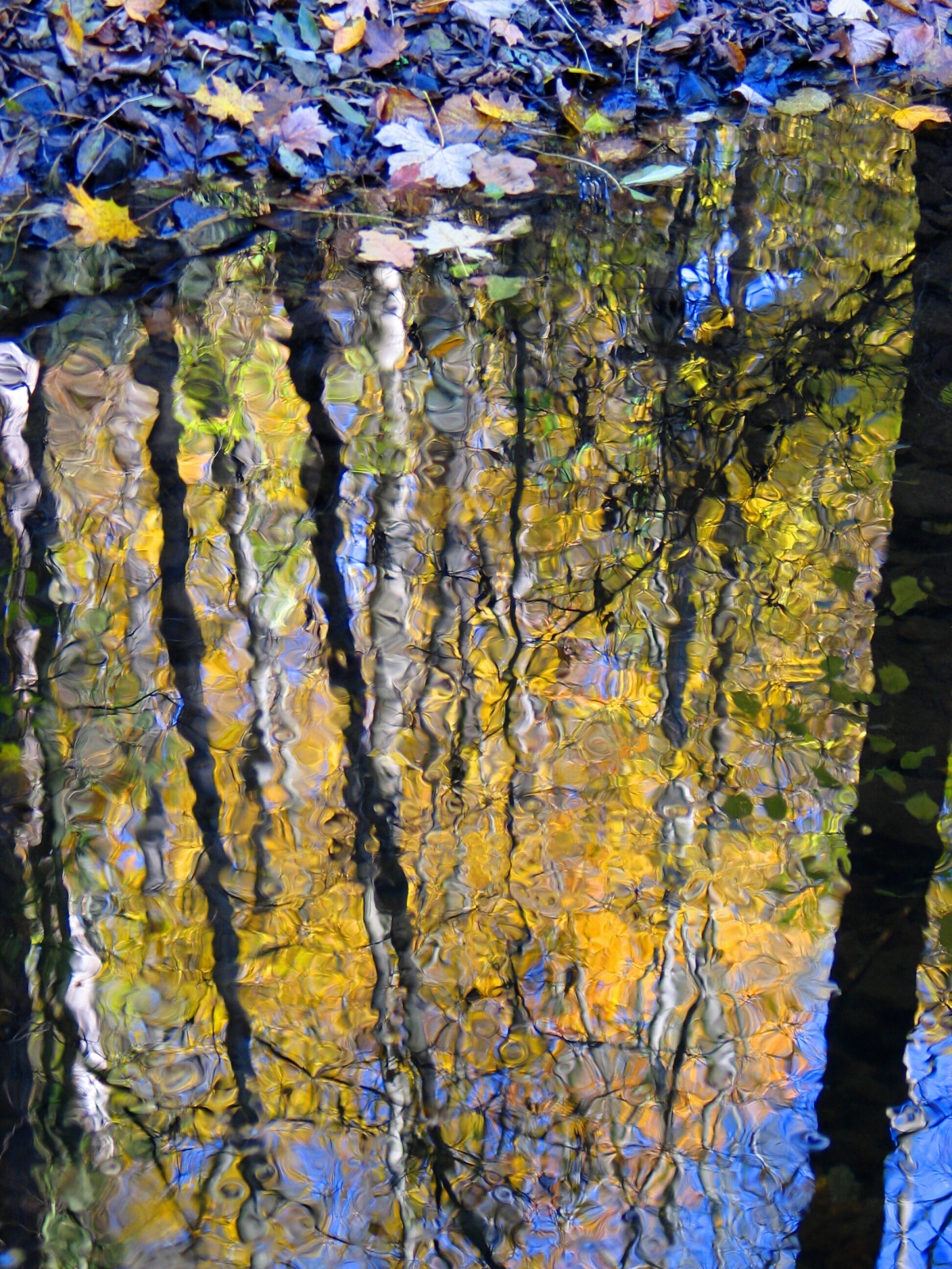 Podzimní zrcadlo