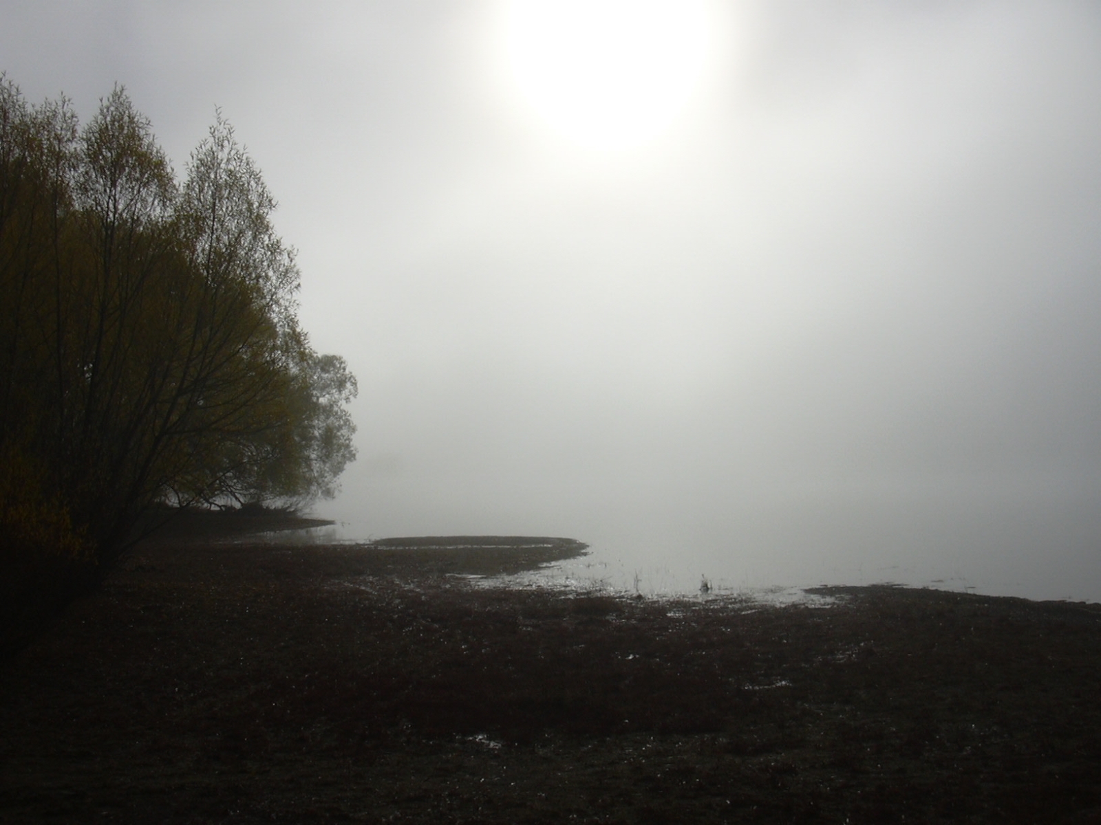 Jezero v mlze