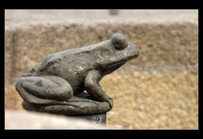 Detail v architektuře - Sedí žaba na prameni