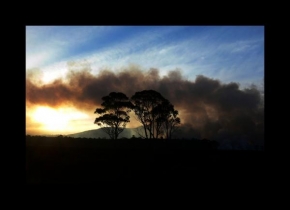Martin Švec - Tasmania Fire