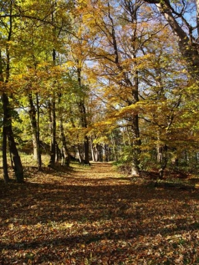 Krásy krajiny - Podzimní nostalgie Křemešníku