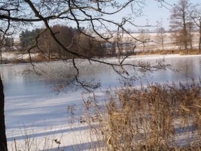 Krásy krajiny - Zima u Vlásenického rybníka