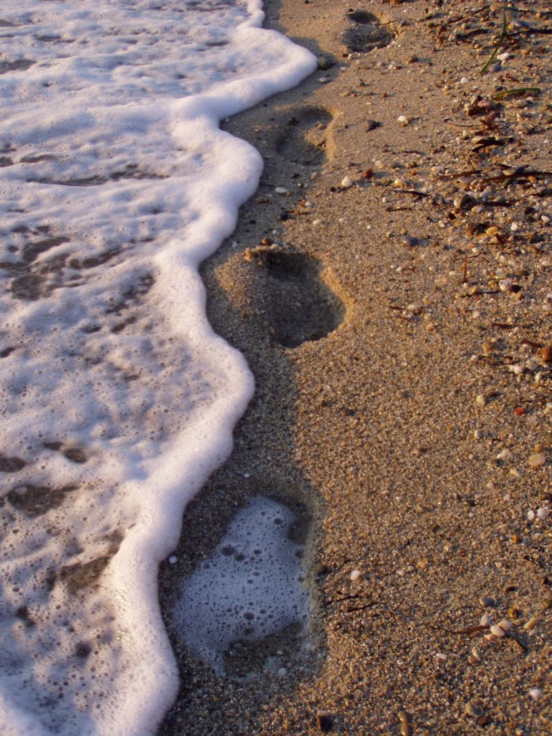 Stopy v písku