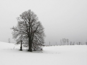 Krásy krajiny - Zima