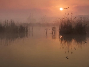 Krásy krajiny - Fotograf roku - junior - Ráno u rybníka