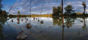 Krásy krajiny - Fotograf roku - junior - Podvečer u rybníka