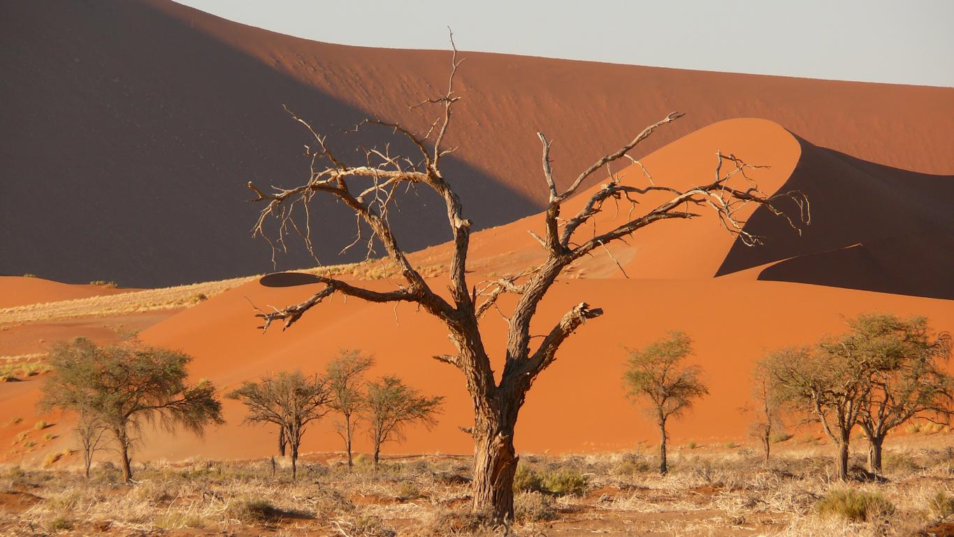 Namibijské zátiší