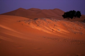 Úlovky z dovolené - Noc na poušti 2