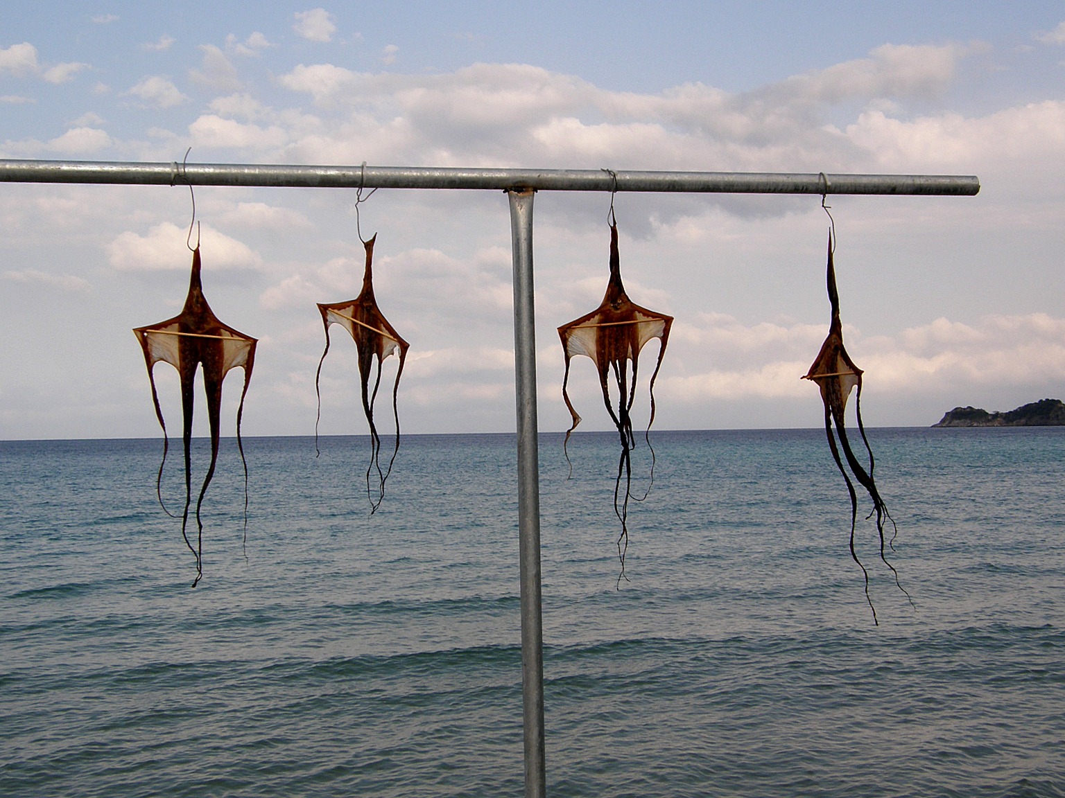 Sušení chobotnic - Řecko