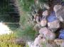 Šumava