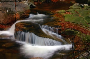 Voda je živel - Fotograf roku - junior - Poezie podzimu