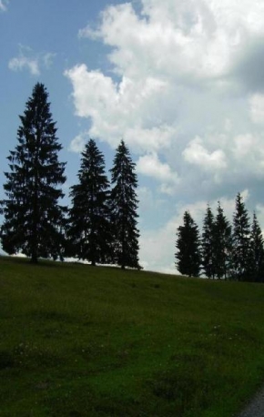 Peter Dovičovič - Lúka, stromy, oblaky, . . .