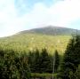 Mount