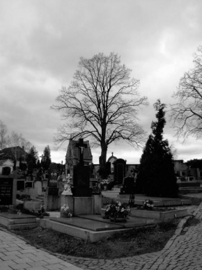 Místo, které nejraději fotografuji - Hřbitov