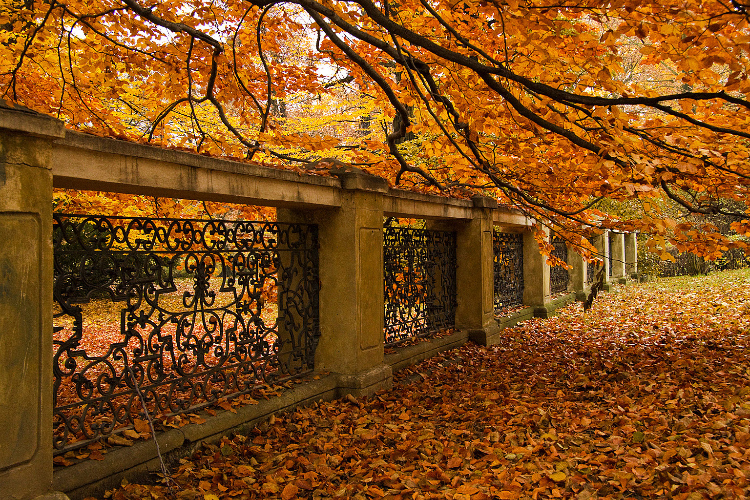 Podzim V Zámecké zahradě
