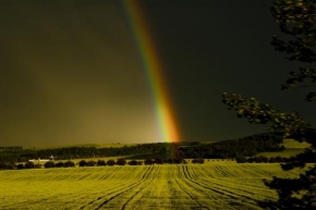 Fotograf roku v přírodě 2010 - Rainbow