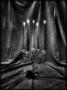 Light of Dark