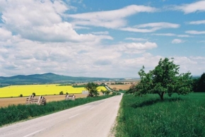 Krásy české a slovenské krajiny - Country road