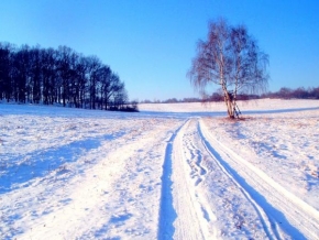 Michaela Aulická - Zimní krajinka