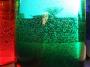 Vlastimil Matulík - RGB Level