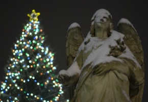 Dlouhé noci a život po setmění - Andělské Vánoce.
