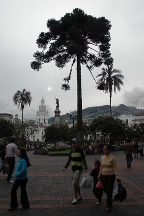 Fotograf roku na cestách 2010 - Quito