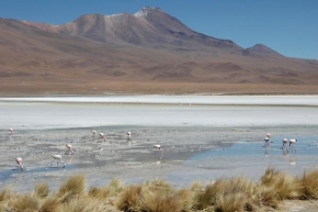 Fotograf roku v přírodě 2010 - Atacama
