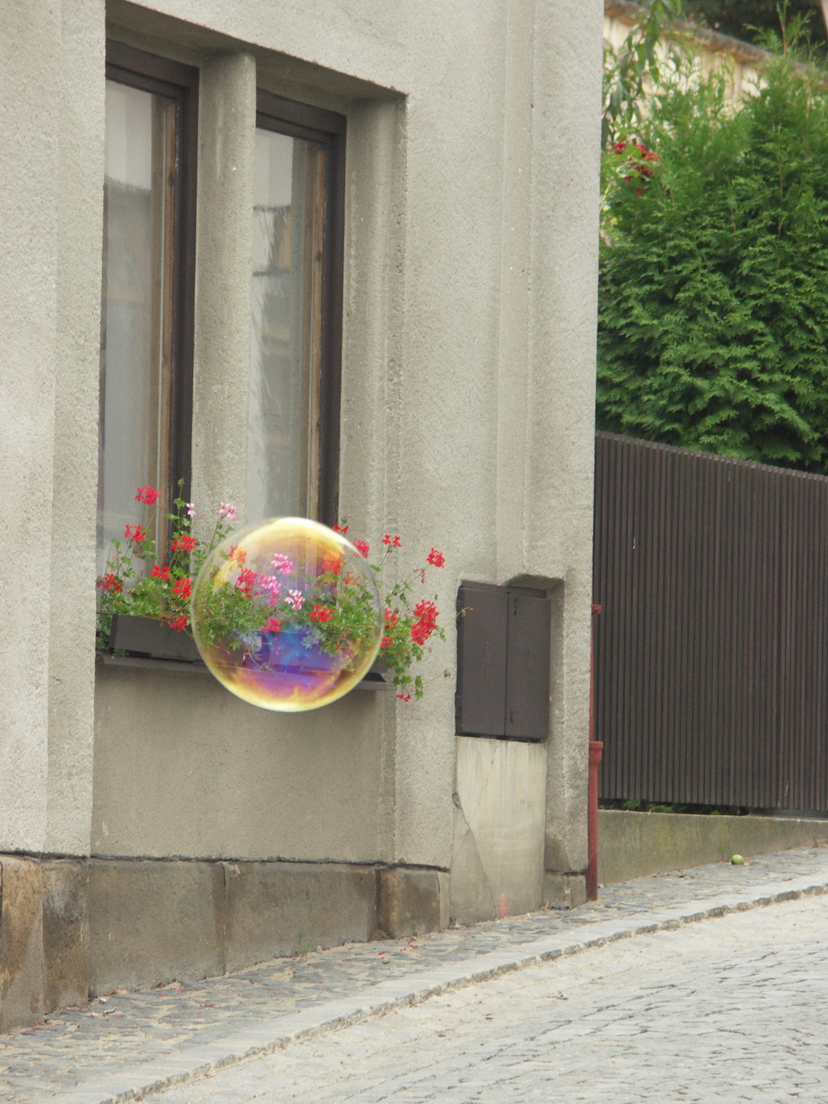 Svět přes bublinu