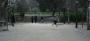 Fotbal
