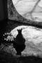 Freedom !.......please.........(BEZ POEZIE)