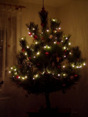Večer a noc ve fotografii - Vánoční stromek