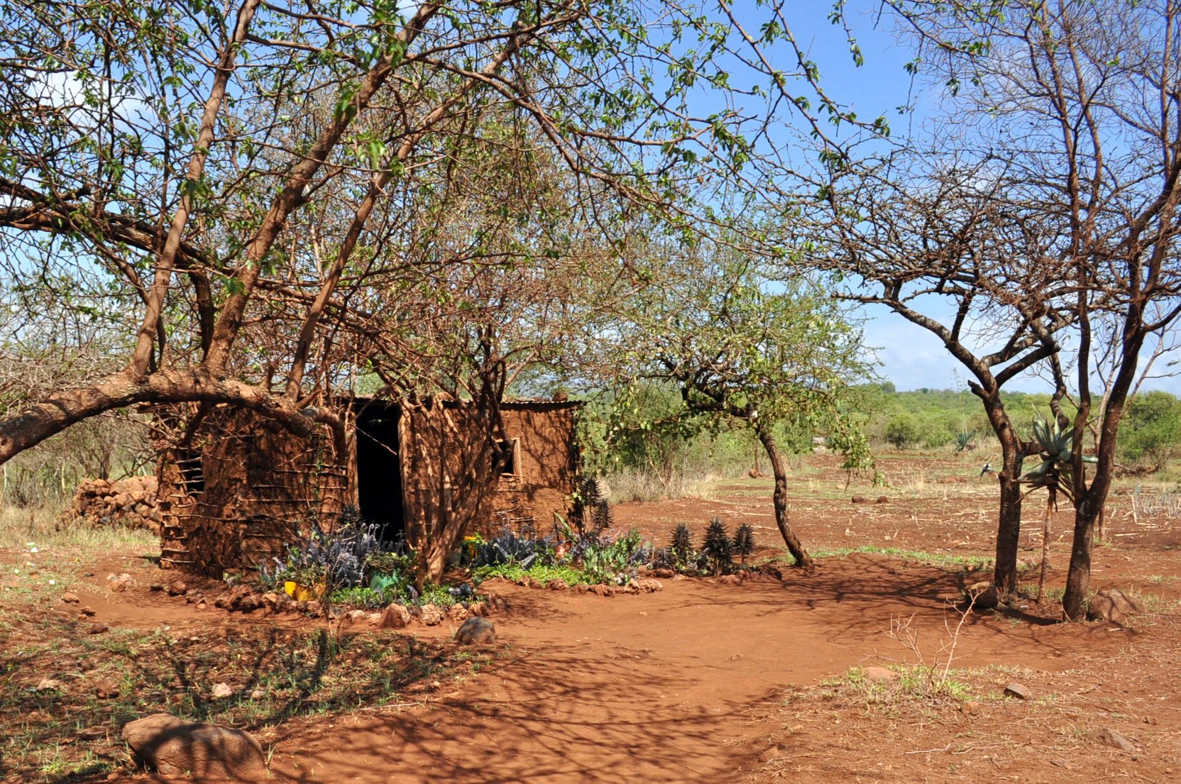 Zahrádka v Tanzanii