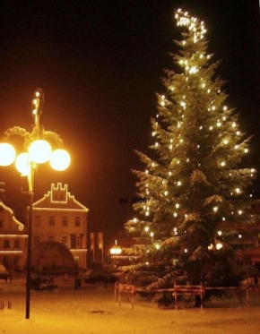 Večer a noc ve fotografii - Vánoční strom